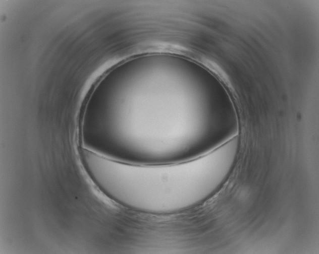 X0000062921136200601131125