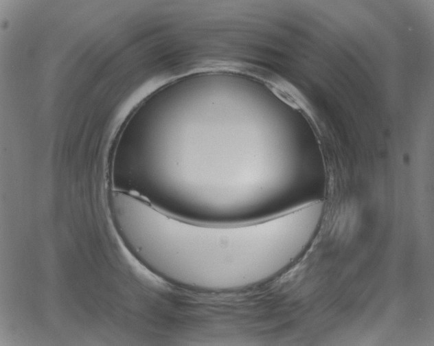 X0000062921143200601131125
