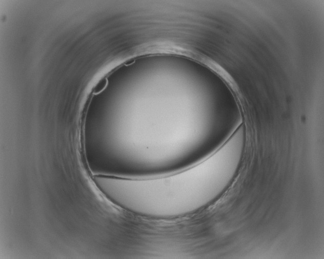 X0000062921144200601131125