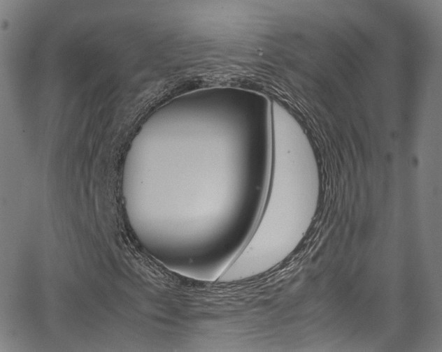 X0000062921153200601131125