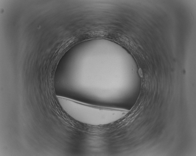 X0000062921201200601131123