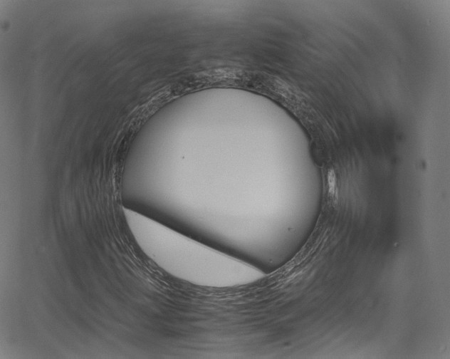 X0000062921203200601131123