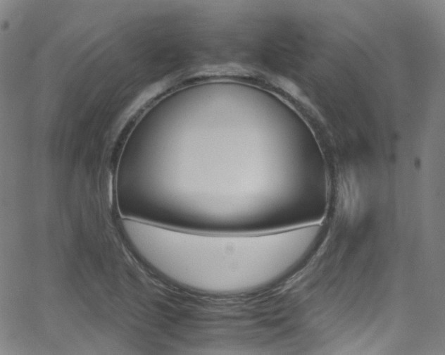 X0000062921221200601131123