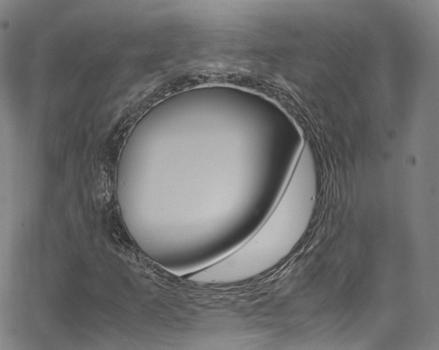 X0000062921253200601131123