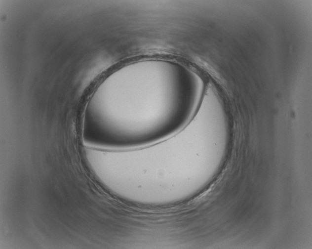 X0000062921261200601131123