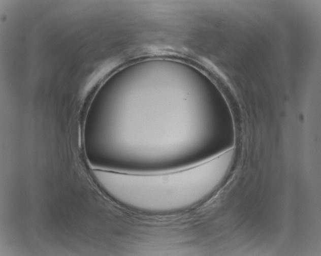 X0000062921269200601131123