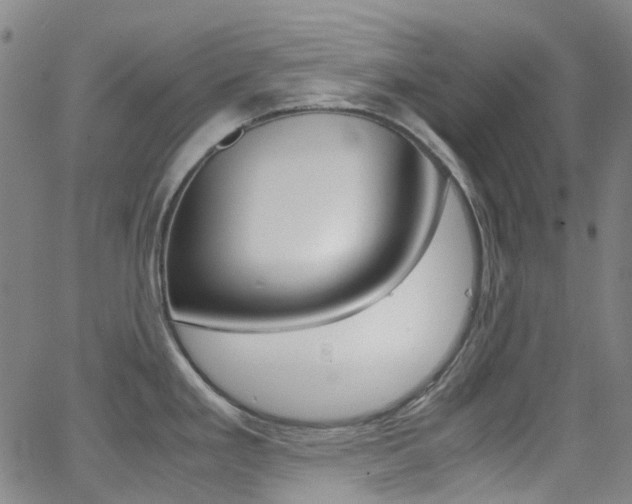 X0000062921293200601131122