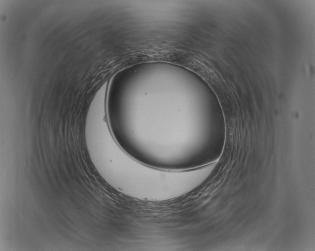 X0000062921298200601131121