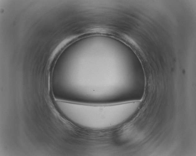 X0000062921323200601131122