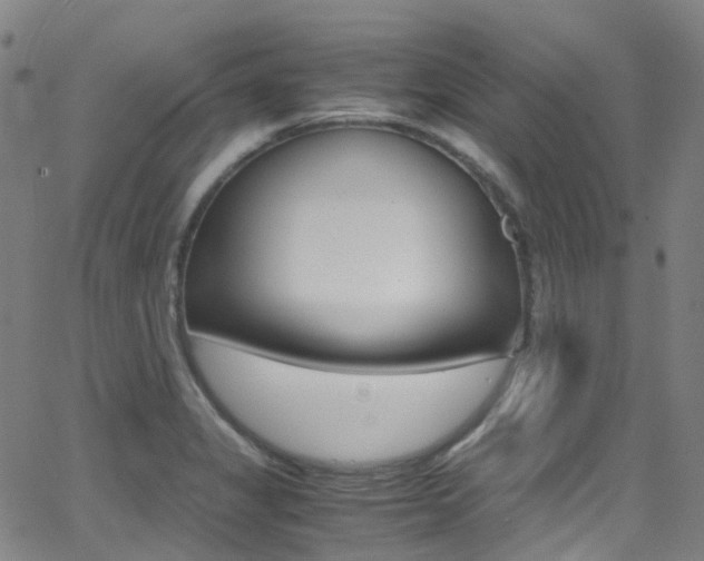 X0000062921325200601131122