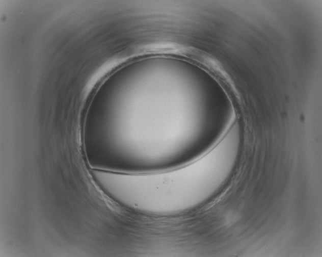 X0000062921328200601131122