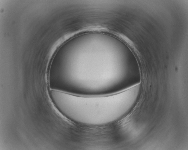X0000062921335200601131122