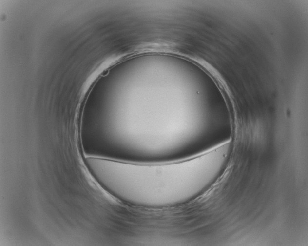 X0000062921341200601131122