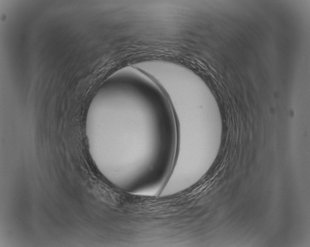 X0000062921345200601131121