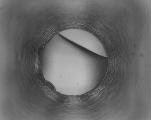 X0000062921346200601131121