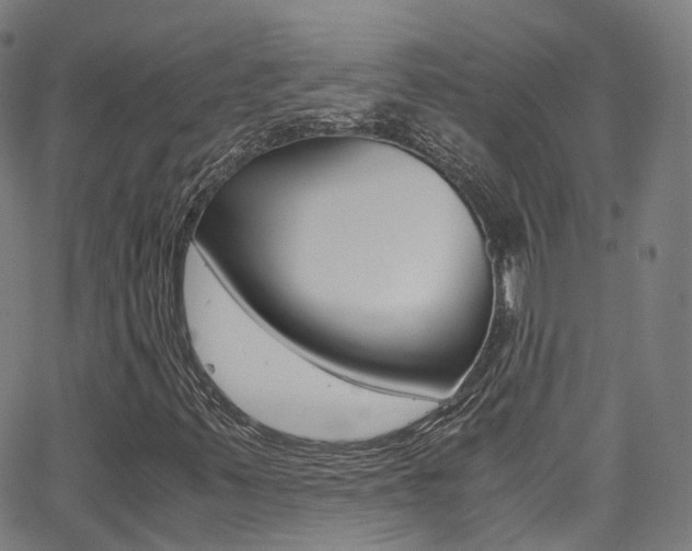 X0000062921347200601131121