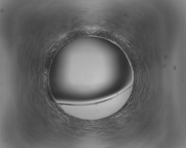 X0000062921349200601131121