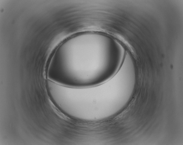 X0000062921372200601131121