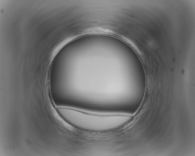 X0000062921387200601131121