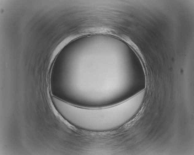 X0000062921389200601131121