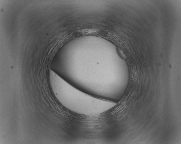 X0000062921393200601131120