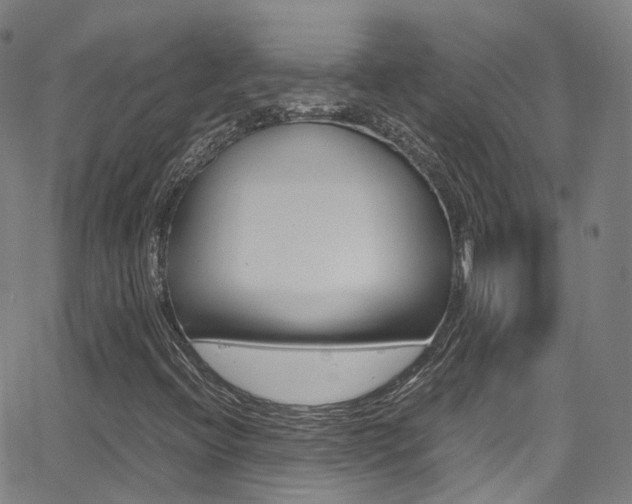 X0000062921396200601131120