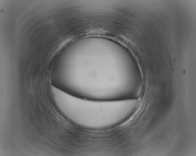 X0000062921401200601131120