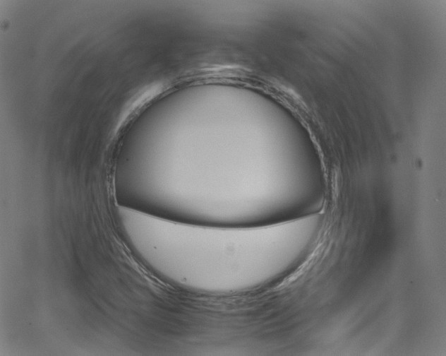 X0000062921405200601131120