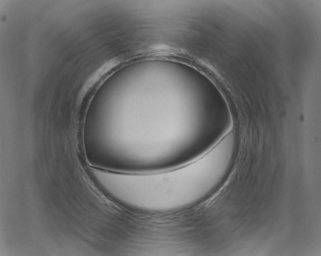 X0000062921410200601131120