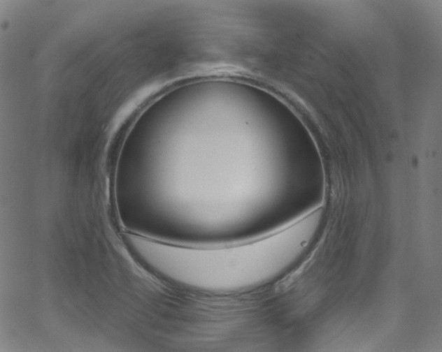 X0000062921414200601131120
