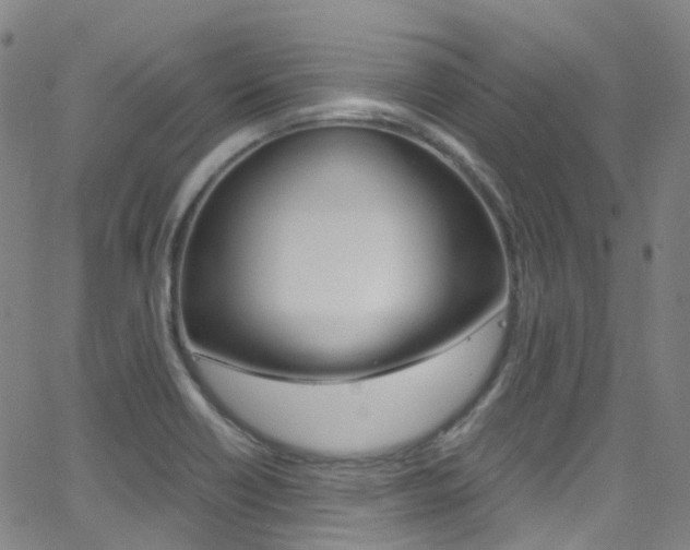X0000062921418200601131120