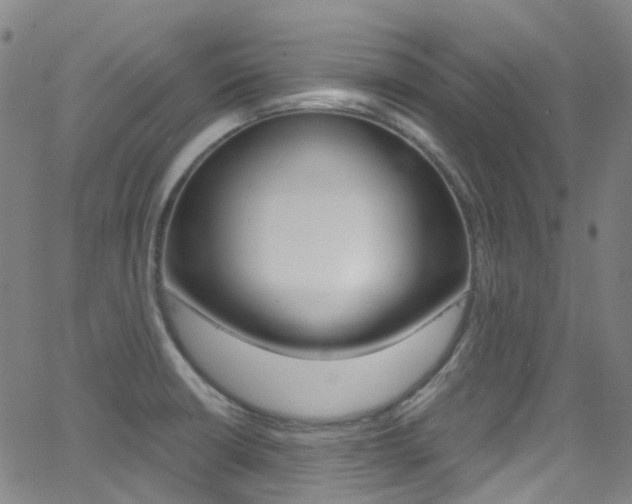 X0000062921426200601131120