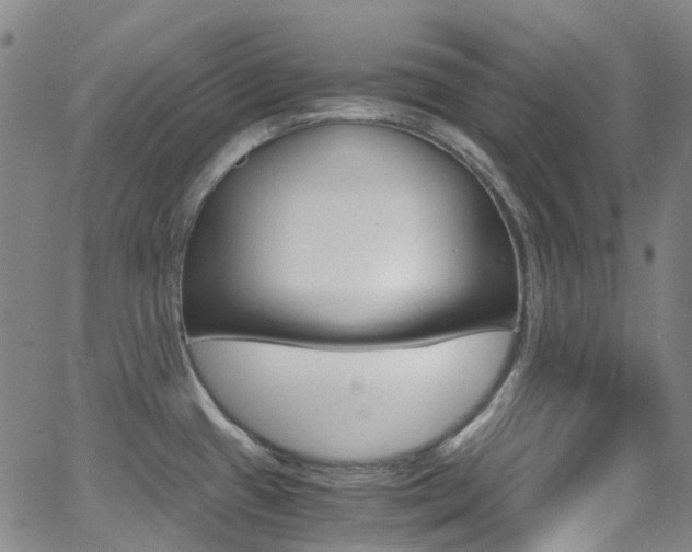 X0000062921433200601131120