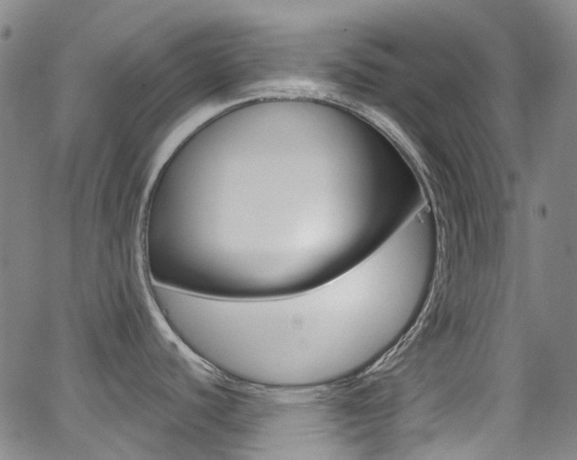X0000062921440200601131121