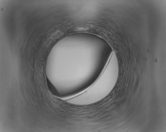 X0000062921441200601131120