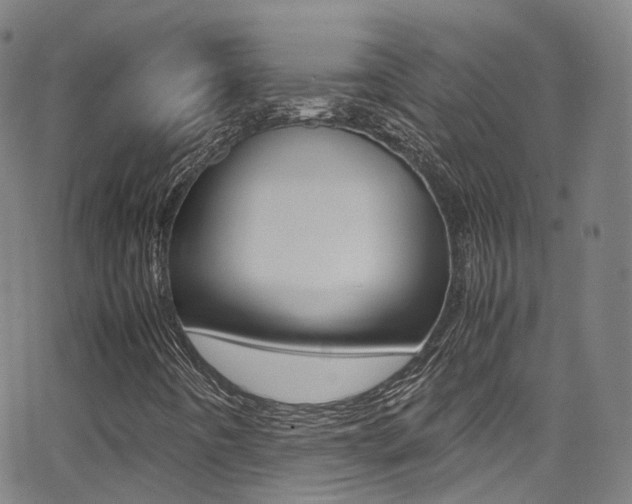 X0000062921442200601131120