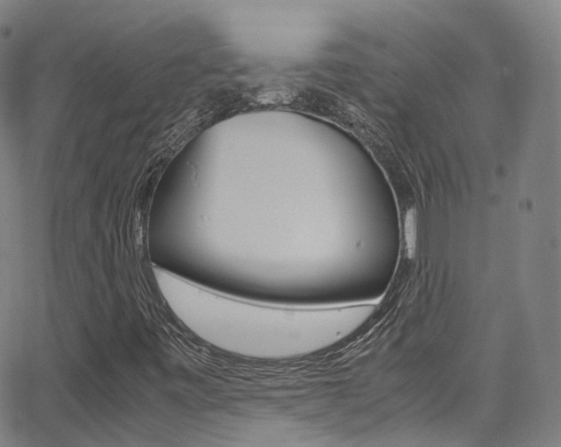 X0000062921443200601131120
