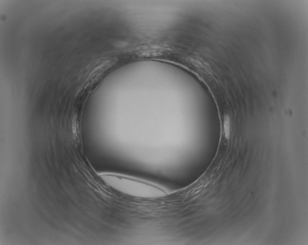 X0000062921444200601131120