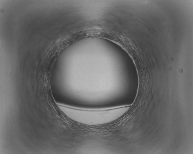 X0000062921445200601131120