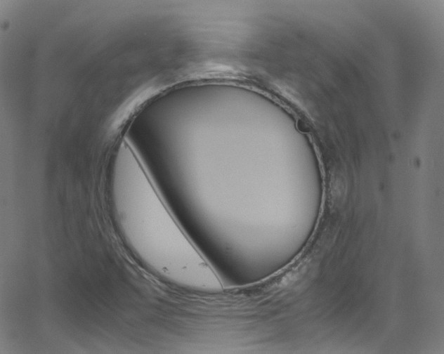 X0000062921455200601131120