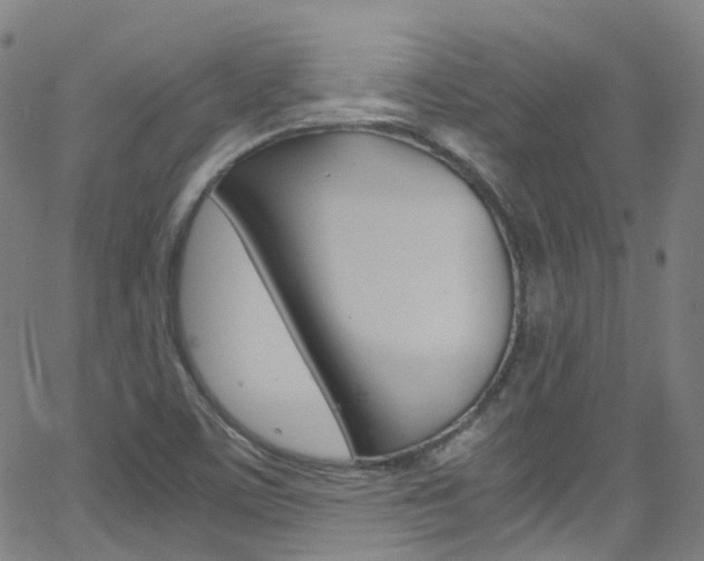 X0000062921459200601131119