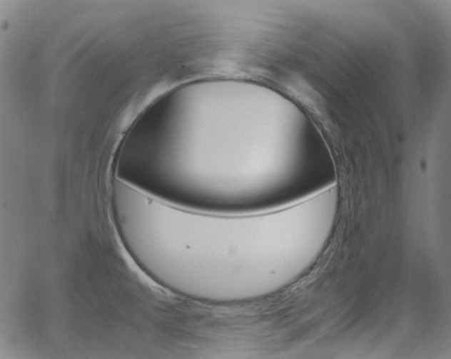 X0000062921479200601131119