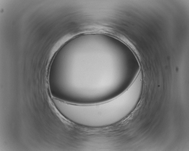X0000062921485200601131119