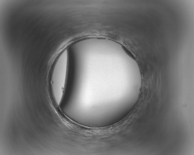 X0000062920005200601131504