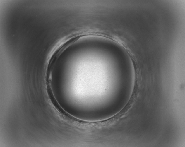 X0000062920007200601131504