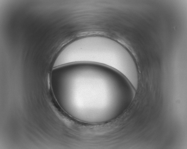 X0000062920013200601131504