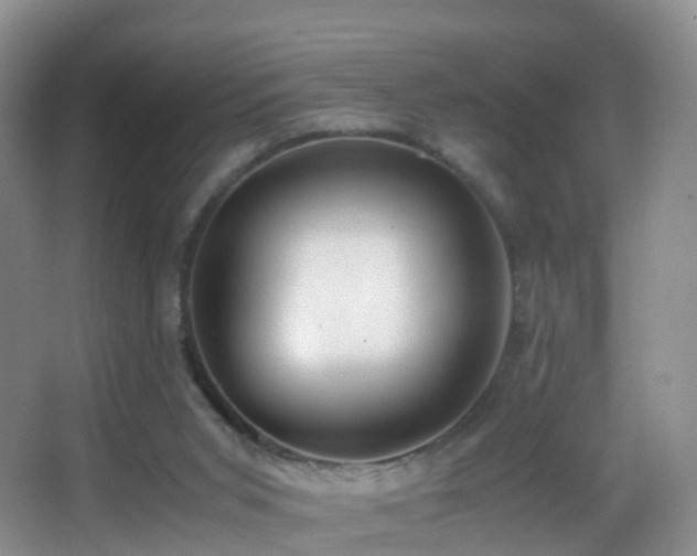 X0000062920015200601131504