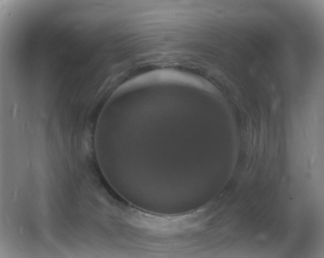 X0000062920035200601131503