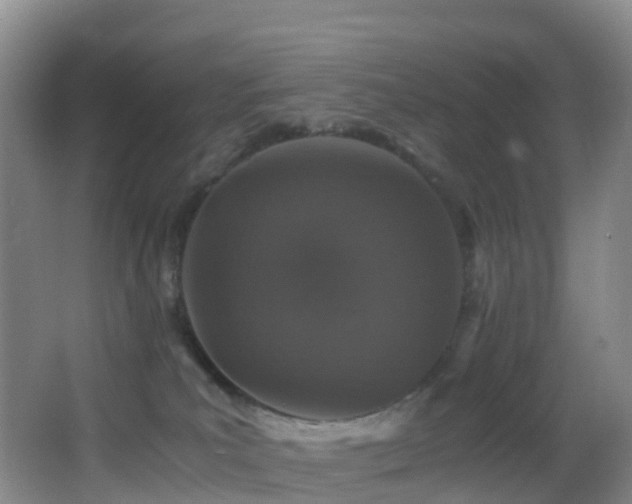 X0000062920039200601131503