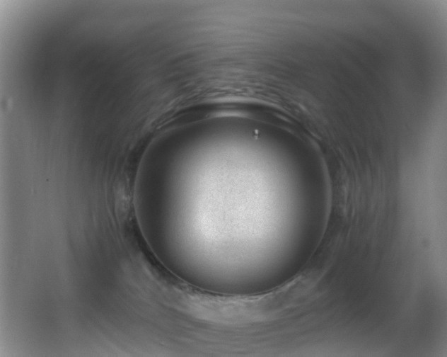 X0000062920040200601131503